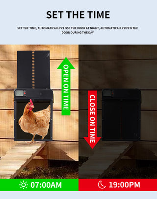 Automatic Chicken Coop Display Timing Door