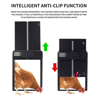 Automatic Chicken Coop Display Timing Door