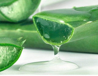 Aloe Skin Care 