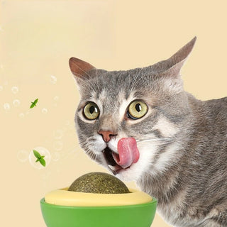 Pet Toy Can Be Rotated Fun Self-hey Catnip Cat Toy Avocado Shape Catnip Cat Toys